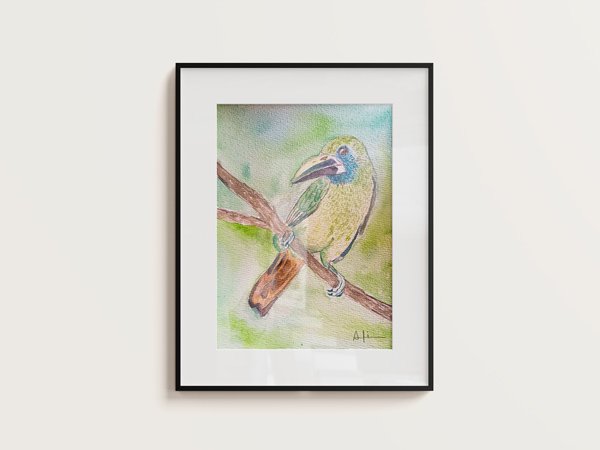 tucan_verde